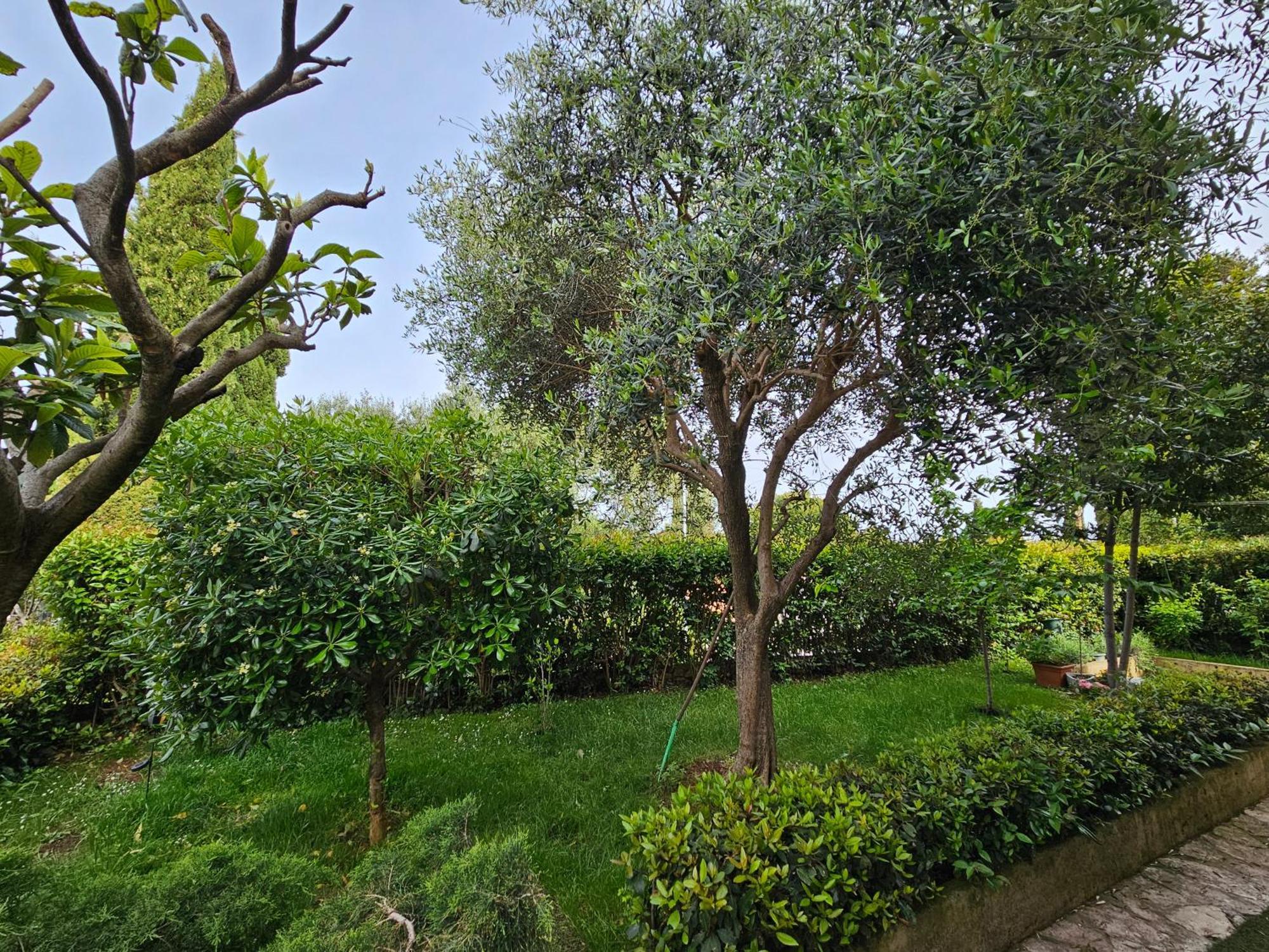Zita - Heart Of Rovinj, Apartment For 2, Free Parking, 2Min Center, 5Min Beach Walk Εξωτερικό φωτογραφία